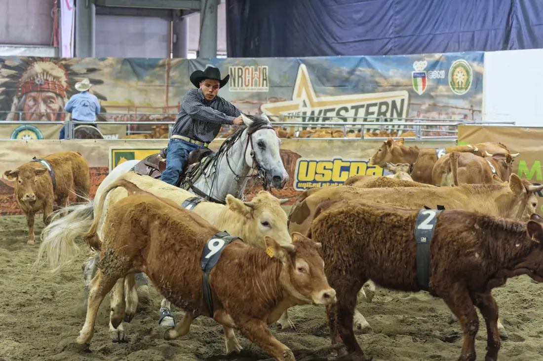 Gare di Team Penning al ranch 2