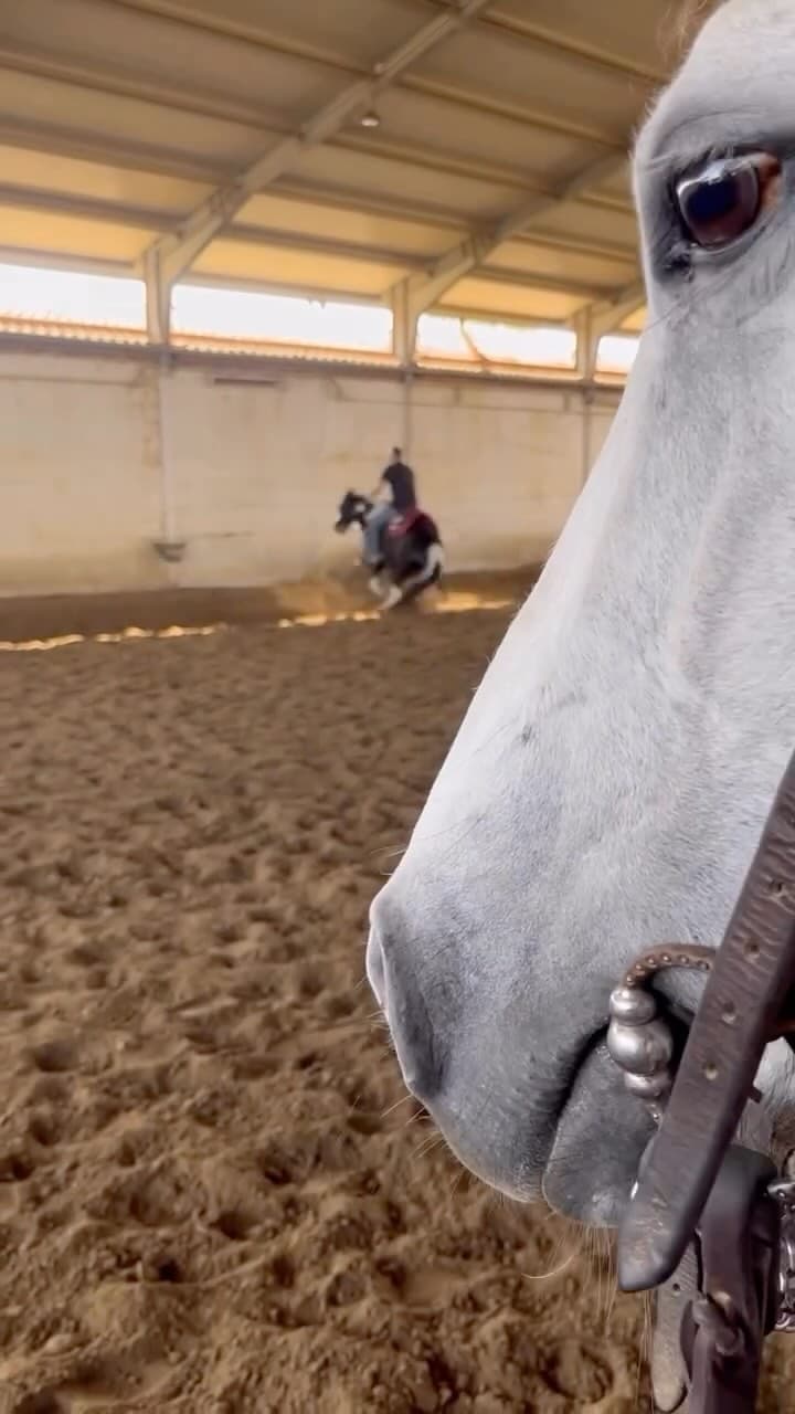 O con noi.. o contro di noi. 🤜🏻🔥🤛🏻
