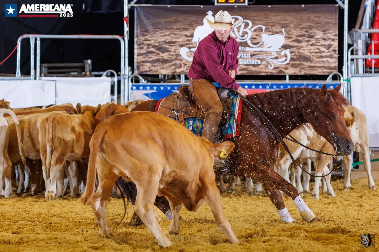 ➡️ 𝐀𝐌𝐄𝐑𝐈𝐂𝐀𝐍𝐀 2025 ⬅️ First time competing in Cutting show! 💥 𝐍𝐂𝐇𝐀 𝐋𝐭𝐝 𝐎𝐩𝐞𝐧 𝐅𝐢𝐧𝐚𝐥𝐢𝐬𝐭 with 𝐇