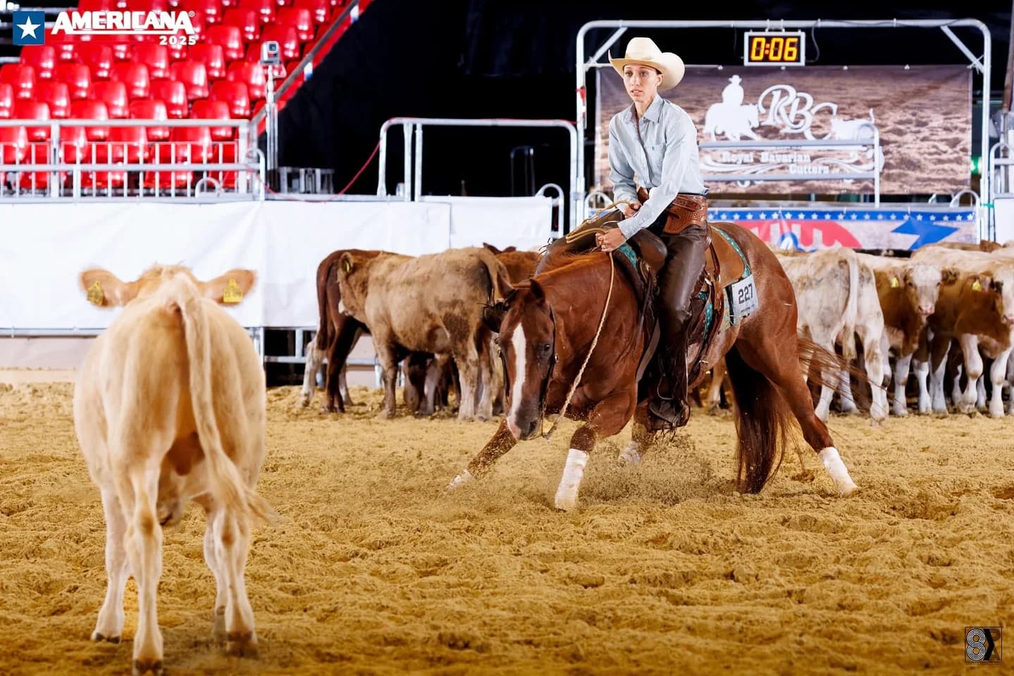 💥AMERICANA 2025💥 ✨️ERCHA/NRCHA Non Pro Bridle Spectacular Champions✨️ Due anni fa, tornando dallo stesso evento avevo 