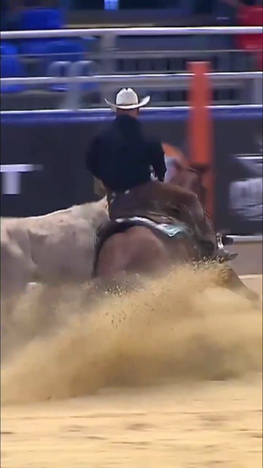 Fence work moments from the NRCHA/ERCHA Derby at AMERICANA 2025!