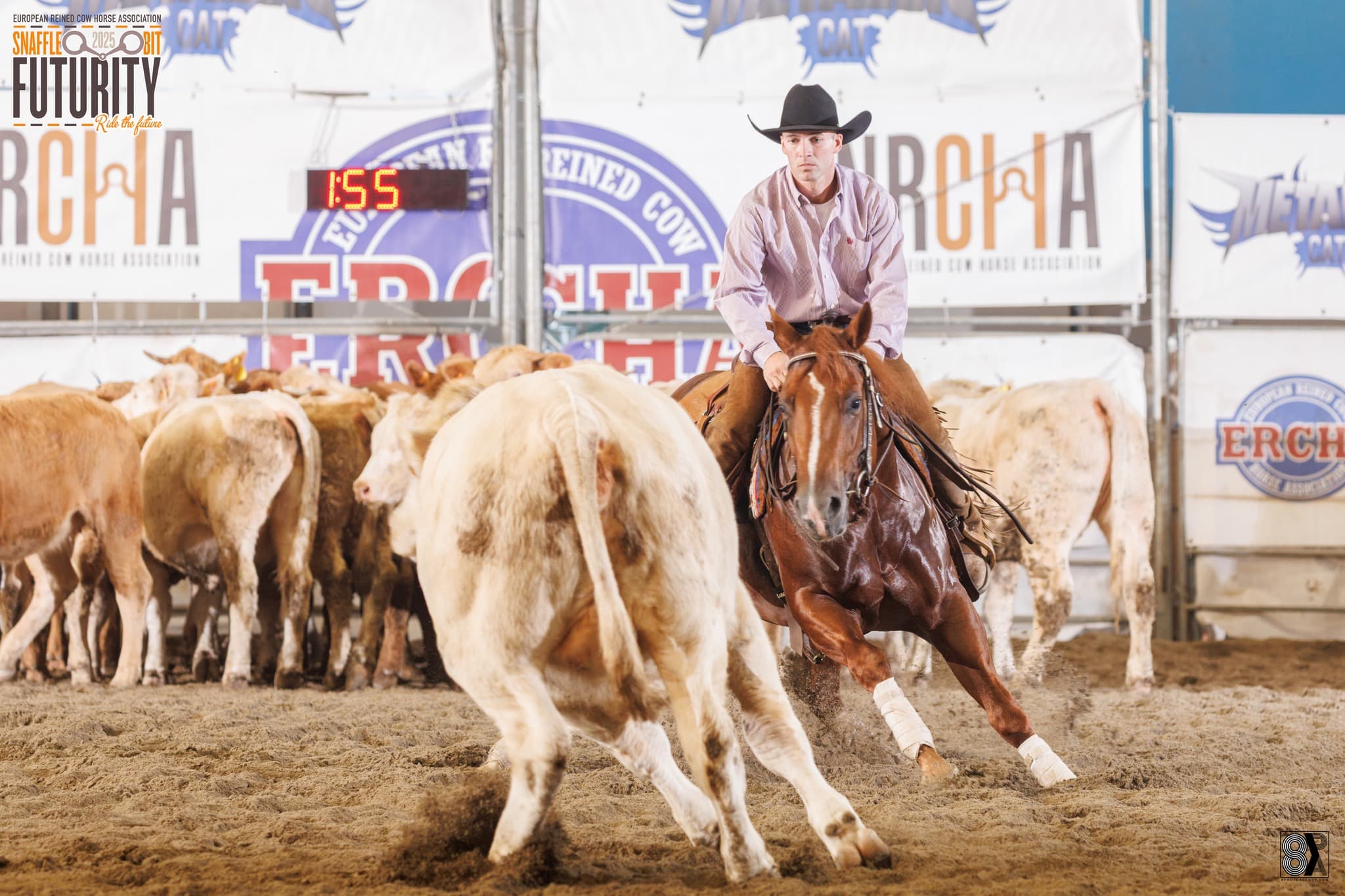 🔥ERCHA-NRCHA METALLIC CAT FUTURITY 2025 Giovanni Campanaro & Smart N Snappin MR 🥇best 3 years old of open futurity 🏅4