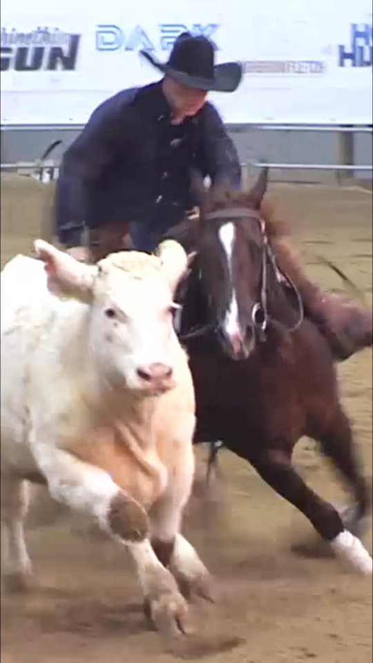 at 2025 ERCHA/NRCHA Futurity with 𝐍𝐑 𝐑𝐮𝐛𝐲 𝐓𝐢𝐦𝐞 𝐂𝐚𝐭!