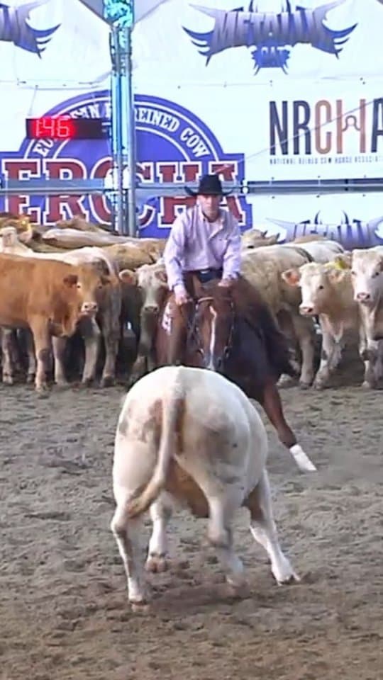 𝐒𝐦𝐚𝐫𝐭 𝐍 𝐒𝐧𝐚𝐩𝐩𝐢𝐧 𝐌𝐑 (Tassas Aristocrat X GH Dual Snappin)🔥 during the 2025 ERCHA/NRCHA FUTURITY was crown
