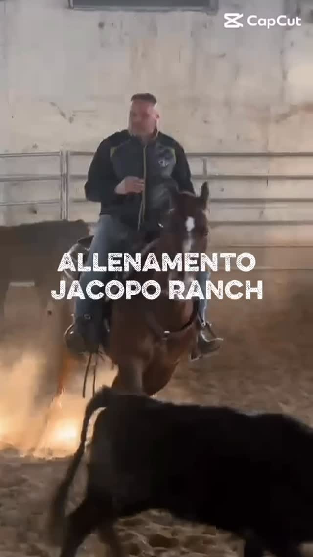 Allenamento sui vitelli: timing, lettura e precisione. Ogni dettaglio conta, ogni errore insegna. Allo Jacopo Ranch si l