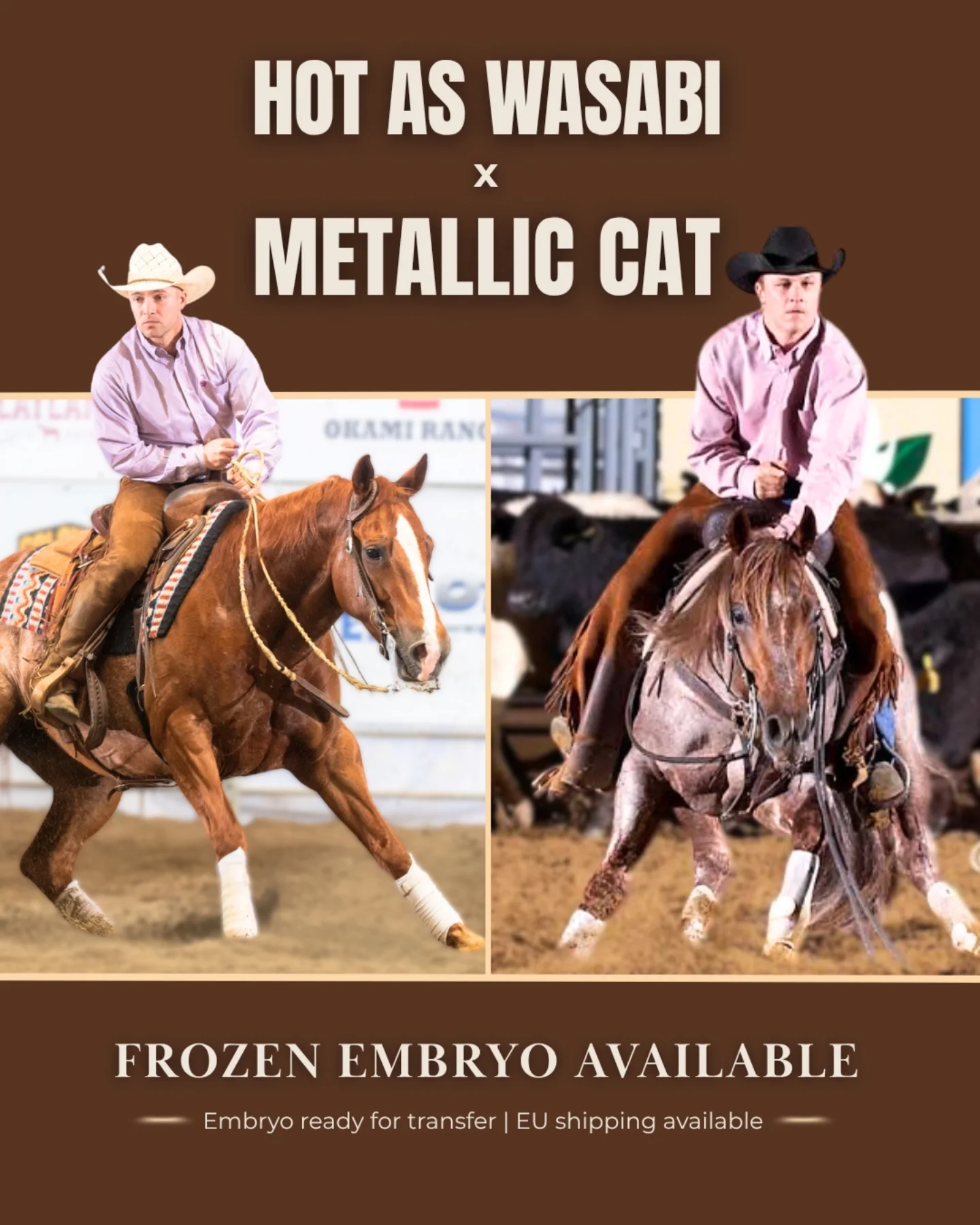 𝐅𝐫𝐨𝐳𝐞𝐧 𝐞𝐦𝐛𝐫𝐲𝐨 𝐚𝐯𝐚𝐢𝐥𝐚𝐛𝐥𝐞❄️ ➡️ 𝐇𝐎𝐓 𝐀𝐒 𝐖𝐀𝐒𝐀𝐁𝐈 𝐱 𝐌𝐄𝐓𝐀𝐋𝐋𝐈𝐂 𝐂𝐀𝐓 ⬅️ 📍 EU shipping 