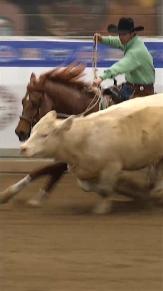 𝐒𝐩𝐢𝐝𝐞𝐫𝐦𝐚𝐧 𝐎𝐟 𝐓𝐢𝐦𝐞💥 2026 ERCHA/NRCHA Spring Stakes Two Rein Spectacular Open 𝐂𝐡𝐚𝐦𝐩𝐢𝐨𝐧! owned by @