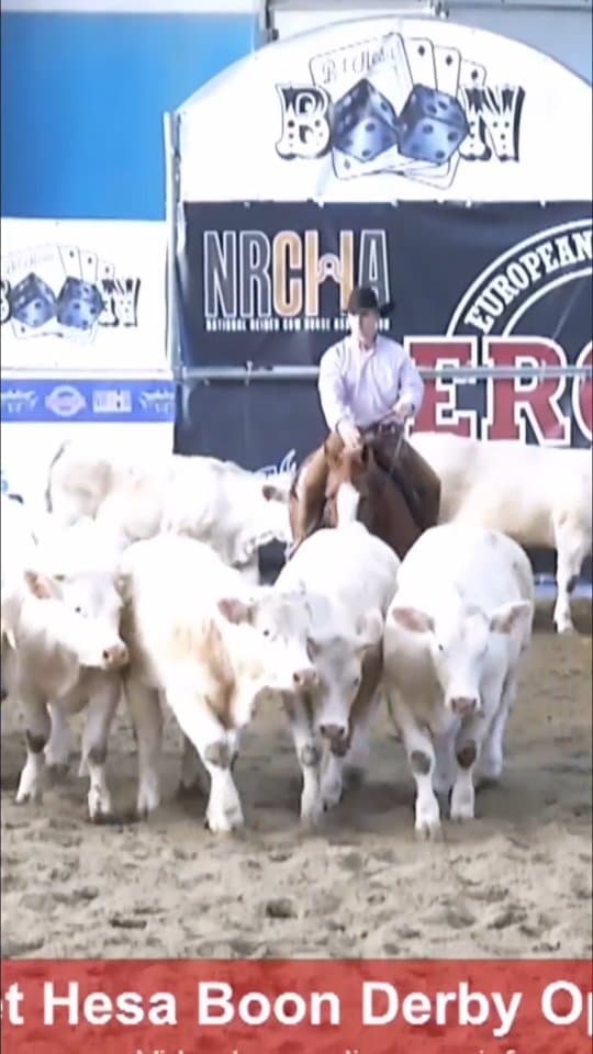 2026 ERCHA/NRCHA Bet Hesa Boon 𝐃𝐄𝐑𝐁𝐘 𝐎𝐏𝐄𝐍 𝐂𝐇𝐀𝐌𝐏𝐈𝐎𝐍 with 𝐓𝐚𝐬𝐬𝐚 𝐉𝐮𝐬𝐭𝐢𝐜𝐞 𝐌𝐑💥 (𝘚𝘋𝘗 𝘑𝘶𝘴