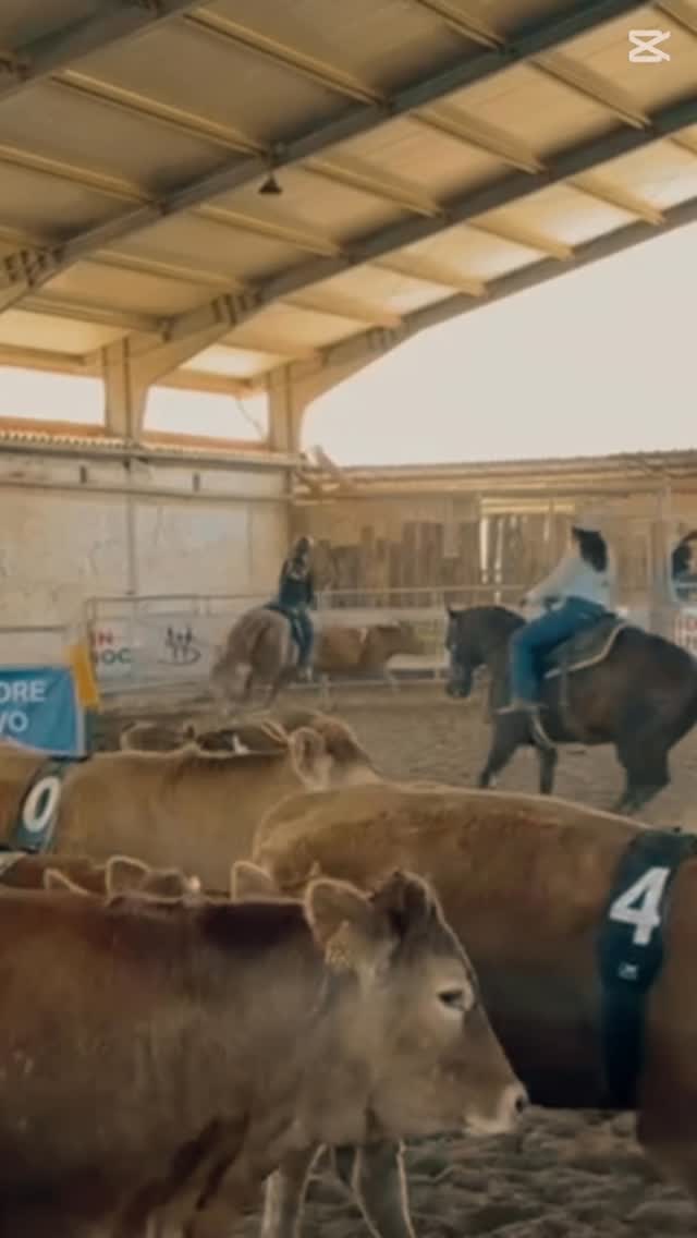 “Weekend intenso, pieno di energia e passione 🐎🔥 Si è conclusa la prima tappa del Campionato Regionale 2026: tantissim