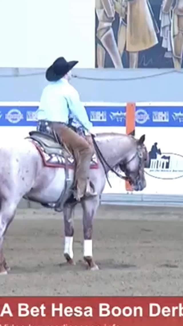 𝐌𝐫 𝐏𝐞𝐝𝐫𝐨 𝐂𝐚𝐭💥 during the ERCHA/NRCHA Bet Hesa Boon Derby owned by @martachiavarelli