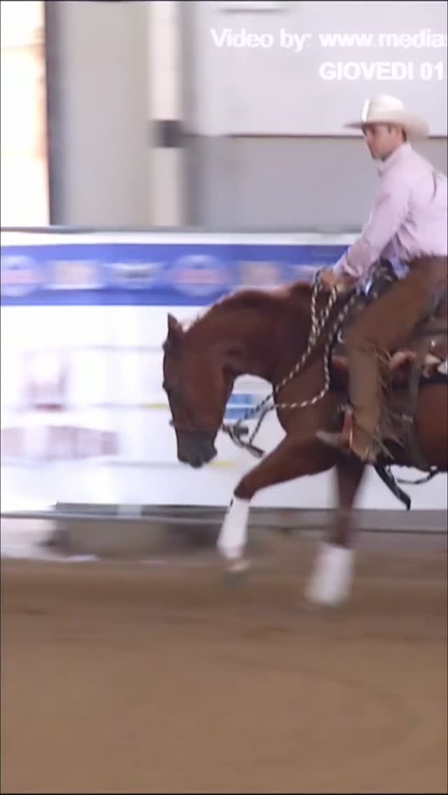 2026 ERCHA/NRCHA Win Equity 𝐇𝐀𝐂𝐊𝐀𝐌𝐎𝐑𝐄 𝐂𝐋𝐀𝐒𝐒𝐈𝐂 𝐎𝐏𝐄𝐍 𝐂𝐇𝐀𝐌𝐏𝐈𝐎𝐍 with 𝐑𝐞𝐲 𝐒𝐦𝐚𝐫𝐭 𝐓𝐮𝐟𝐟�