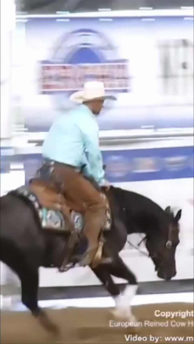 Proud of all my futurity horses during the 2026 ERCHA/NRCHA PreFuturity💪