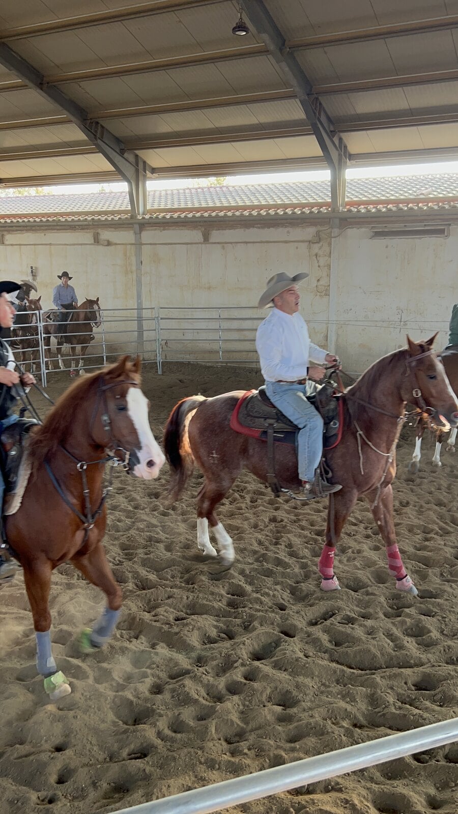 Roberto Anoardo, photo 7